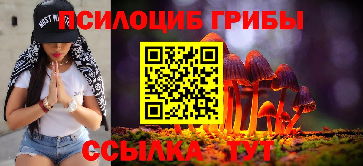 Галлюциногенные грибы ЛСД Зеленогорск