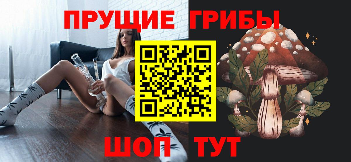Зеленогорск  Псилоцибиновые грибы Magic Shrooms  Вход с VPN 